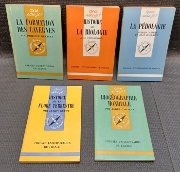 Lote de 5 livros de assuntos diversos