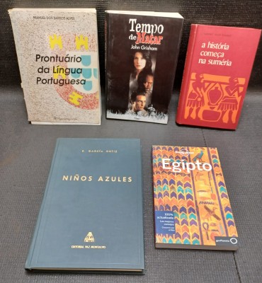Lote de 5 livros de assuntos diversos