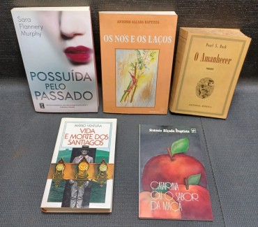 Lote de 5 livros de assuntos diversos