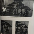Nō - The classical theatre of japan 