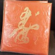 Álbum com dezenas de fotografias sobre festividade no japão