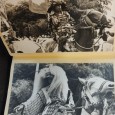 Álbum com dezenas de fotografias sobre festividade no japão