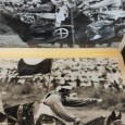 Álbum com dezenas de fotografias sobre festividade no japão