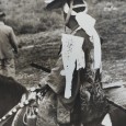 Álbum com dezenas de fotografias sobre festividade no japão