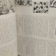 Dois livros com ilustrações de gravuras japonesas 