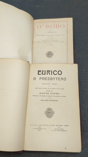Dois romances clássicos portugueses