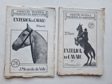 COLECÇÃO RUSTICA