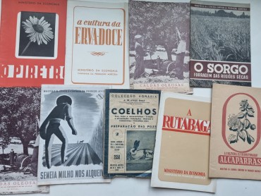FOLHETOS AGRICULTURA