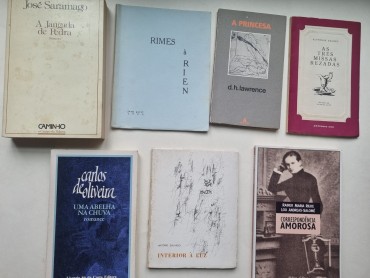 POESIA E LITERATURA