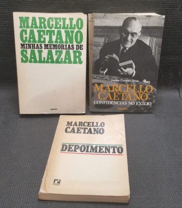 LOTE DE LIVROS DIVERSOS
