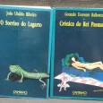 LOTE DE LIVROS DIVERSOS