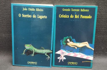 LOTE DE LIVROS DIVERSOS
