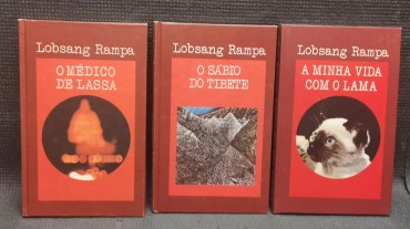 LOTE DE LIVROS DIVERSOS