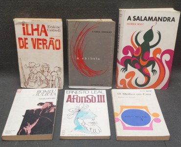 LOTE DE LIVROS DIVERSOS