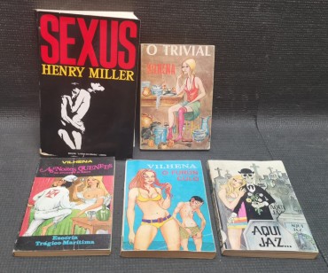 LOTE DE LIVROS DIVERSOS