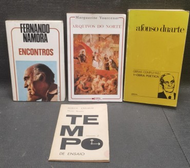 LOTE DE LIVROS DIVERSOS