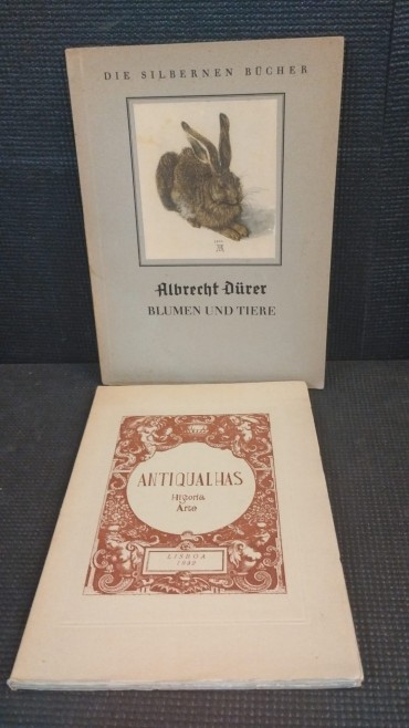 Antiqualhas - História de Arte e Catálogo de Durer
