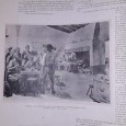 «O Comércio do Porto Ilustrado Natal de - 1905»