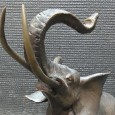 Elefante 