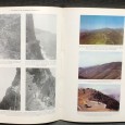 «Repovoamento Florestal no Arquipélago da Madeira (1952-1975)»