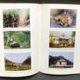 «Repovoamento Florestal no Arquipélago da Madeira (1952-1975)»