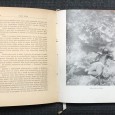 «Entre Corais e Tubarões»