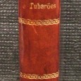«Entre Corais e Tubarões»