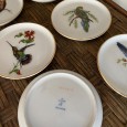 Seis pratos de pequenas dimensões “Aves”