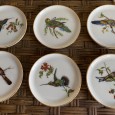 Seis pratos de pequenas dimensões “Aves”