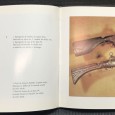 «Espingardaria Portuguesa - Armurerie Liegeoise»