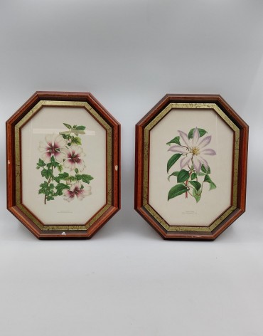 Duas estampas Flores