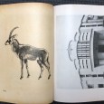 «O Mundo Português - Revista de Cultura e Propaganda de Arte e Literatura Coloniais 6 Números»