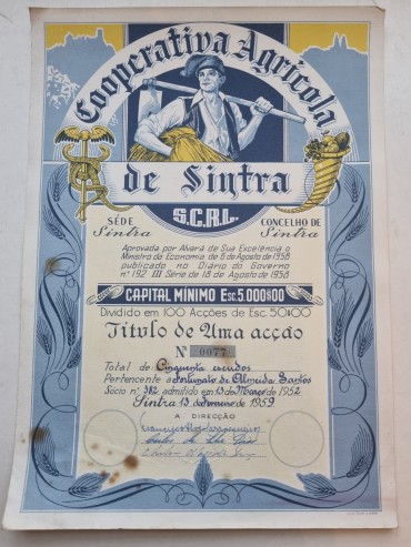 COOPERATIVA AGRÍCOLA DE SINTRA
