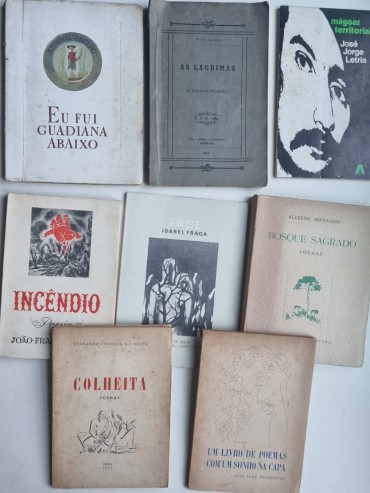 POESIA E LITERATURA PORTUGUESA