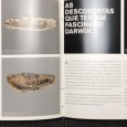 «Museu do Mar D. Carlos / Museu-Escola de Artes Decorativas Portuguesas»