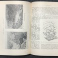 «Panorama da Geografia 3 Volumes»