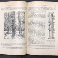«Panorama da Geografia 3 Volumes»