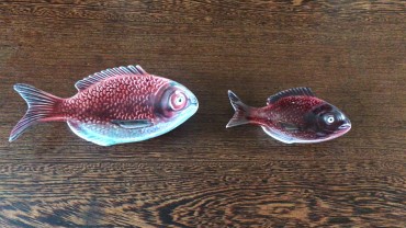 Dois peixes 