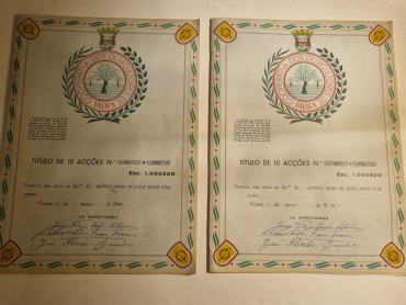COOPERATIVA DOS OLIVICULTORES DE TAVIRA