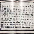 «Shells and shell collecting»