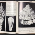 «Shells and shell collecting»