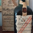 Whisky Escocês 