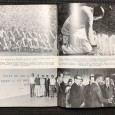 «Racismo e Desporto»
