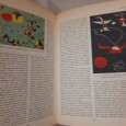Dictionnaire de la Peinture Moderne	