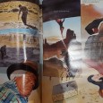 Dois Livros de e sobre Banda Desenhada