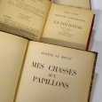 MES CASSES AUX PAPILLONS/LA COURONNE/LE FEU