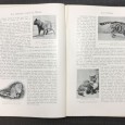 «Les Animaux du Monde - 3 Volumes» 