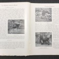 «Les Animaux du Monde - 3 Volumes» 