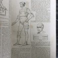 «Dictionnaire de Médecine de Chirurgie, de Pharmacie, des Sciences Accessoires et de L' Art Vétérinaire - 1858»»