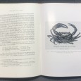 «O Naturalista José de Anchieta»